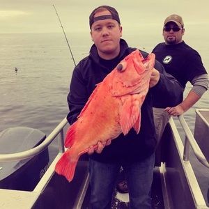 Meet your Posher, Thomas